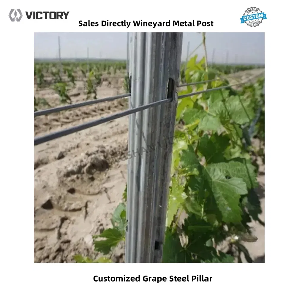 Heavy-Duty Galvanized Metal Fencing Posts for Garden Protection