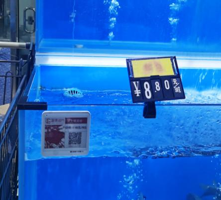 4.2-Inch Light Display Electronic Shelf Labels E-Link Epaper 2.4GHz ESL Price Tag for Retail Store Warehouse Supermarket Waterproof Ipx67