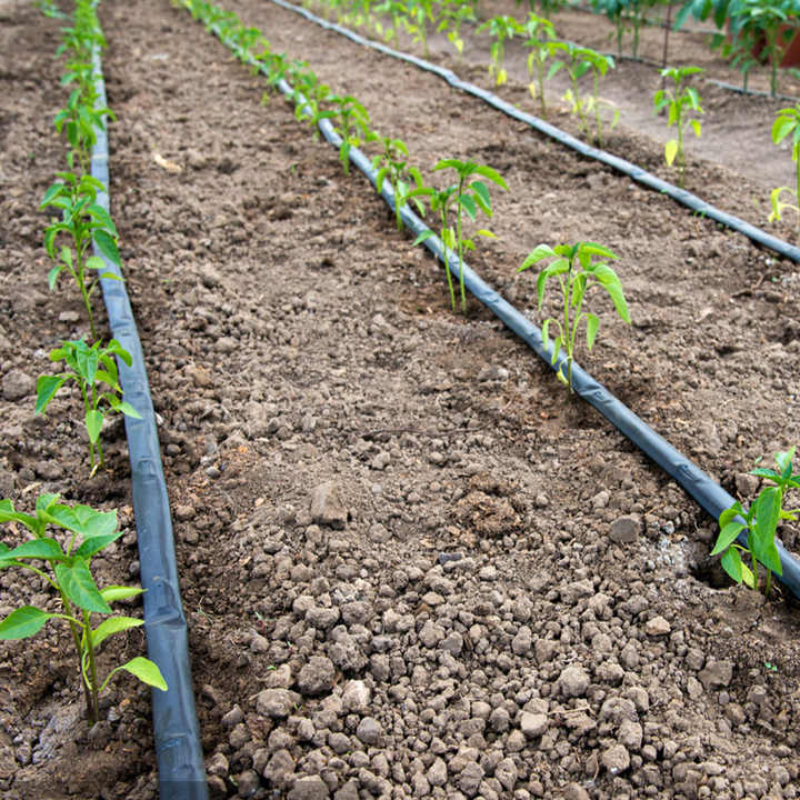 Hot Sales Farm Greenhouse Agriculture 16mm Flat Emitter Drip Irrigation System