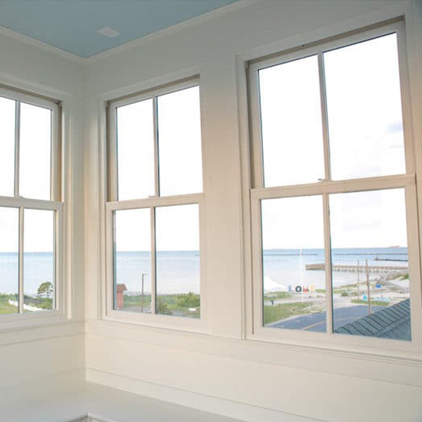 UPVC/Vinyl Double Hung Window for American Design