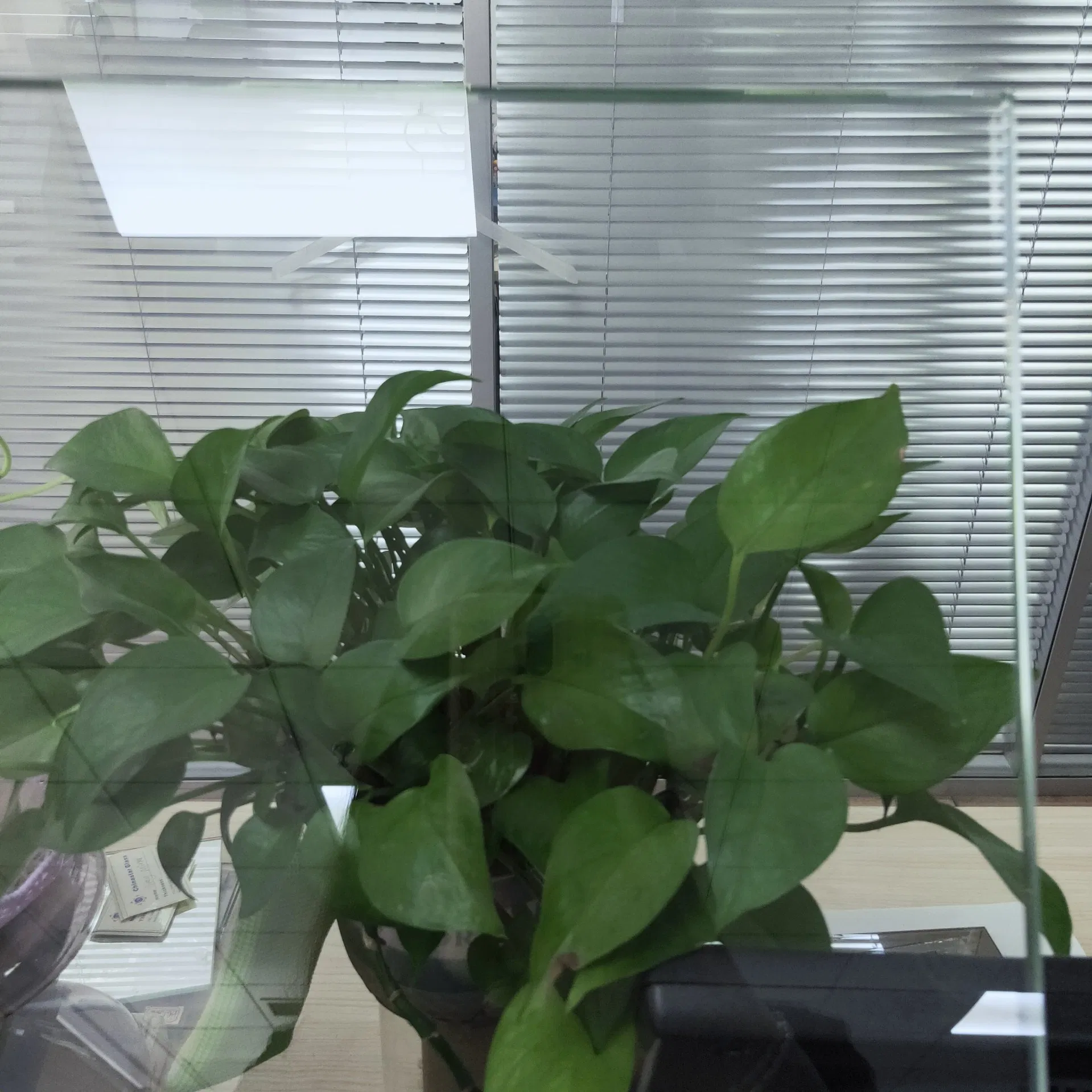 6mm Bronze Curved Tempered Glass for Building Glass