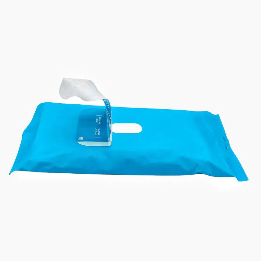 OEM & ODM Non-Woven Portable Packing Car Care Interior Car Leather Cleaning Wet Wipes