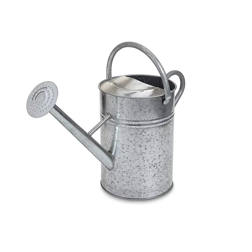 8L Watering Can Galvanized Metal Garden Supply
