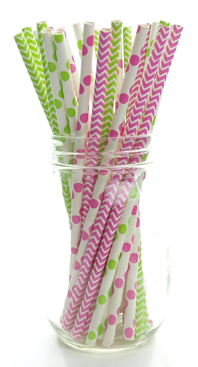 Party Decoration Mix Assorted Paper Straw Eco-Friendly Biodegradable Drinking Straws