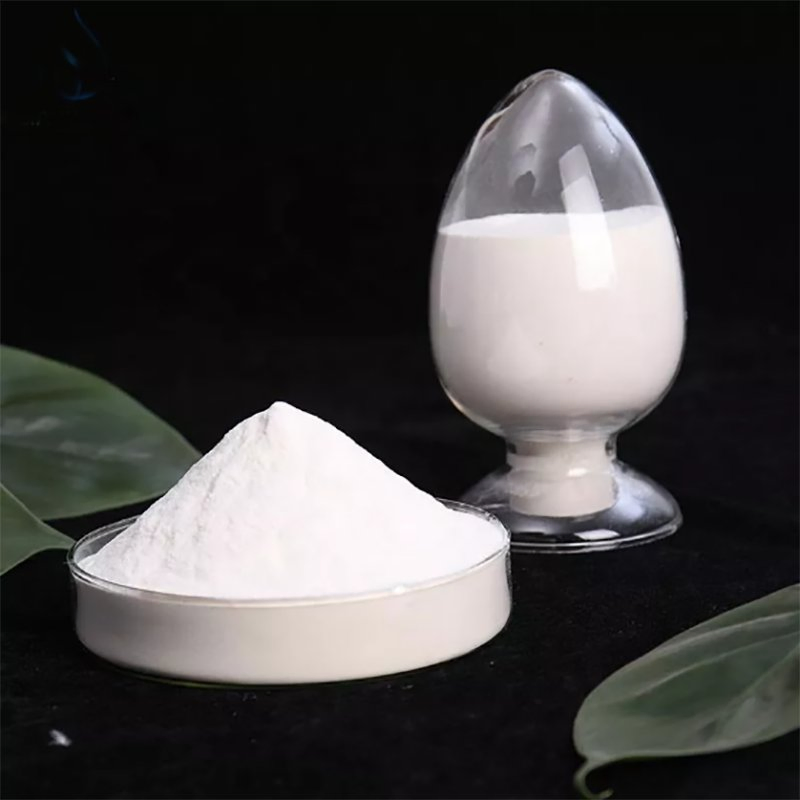 Top Redispersible Polymer Powder Vae Rdp Used for Dry Mortar Tile Adhesive