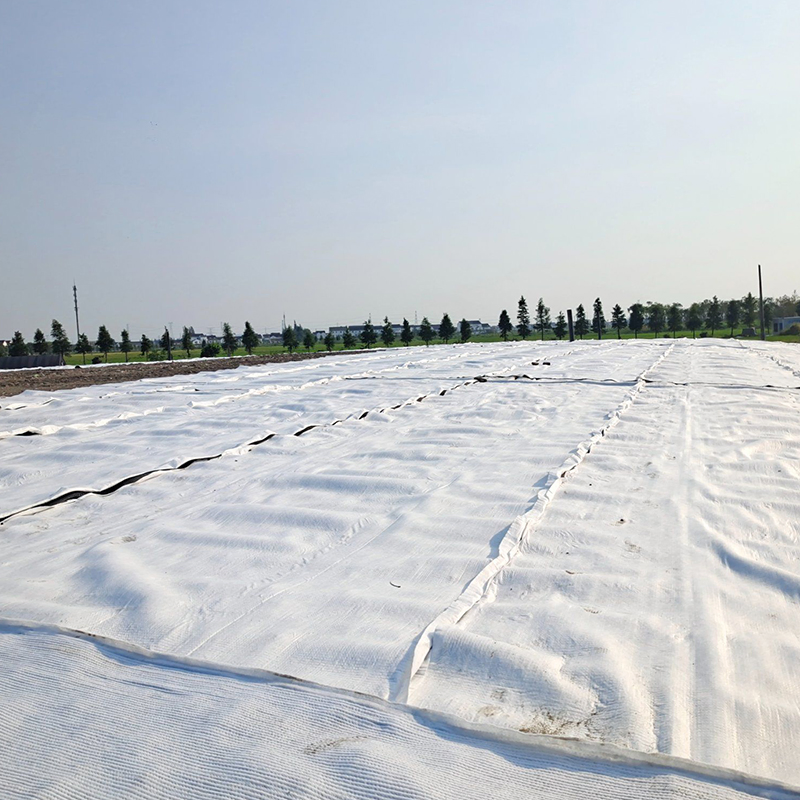 High-Quality Hot Sale Customized Strong Adaptability PP/Pet Geotextile for Erosion Control and Slope Stability Use