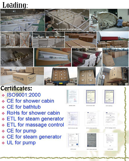 Square Stainless Steel Computerized Steam Shower Cabin (TL-8814)