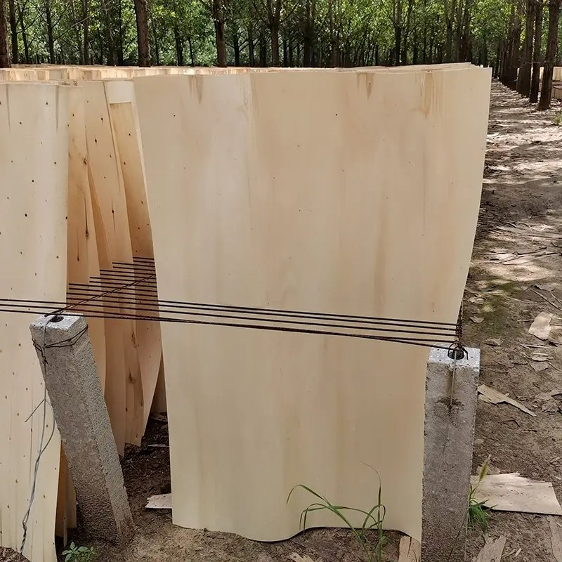 Natural Wood Veneer Birch Veneer Birch Veneer for Sale