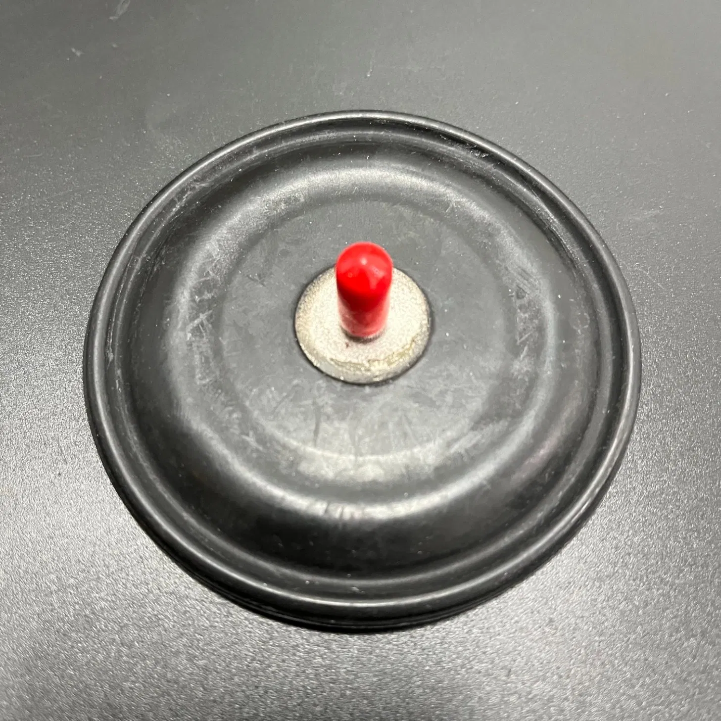 Air Operated Diaphragms PTFE EPDM Diaphragm Used for Dosing Pump