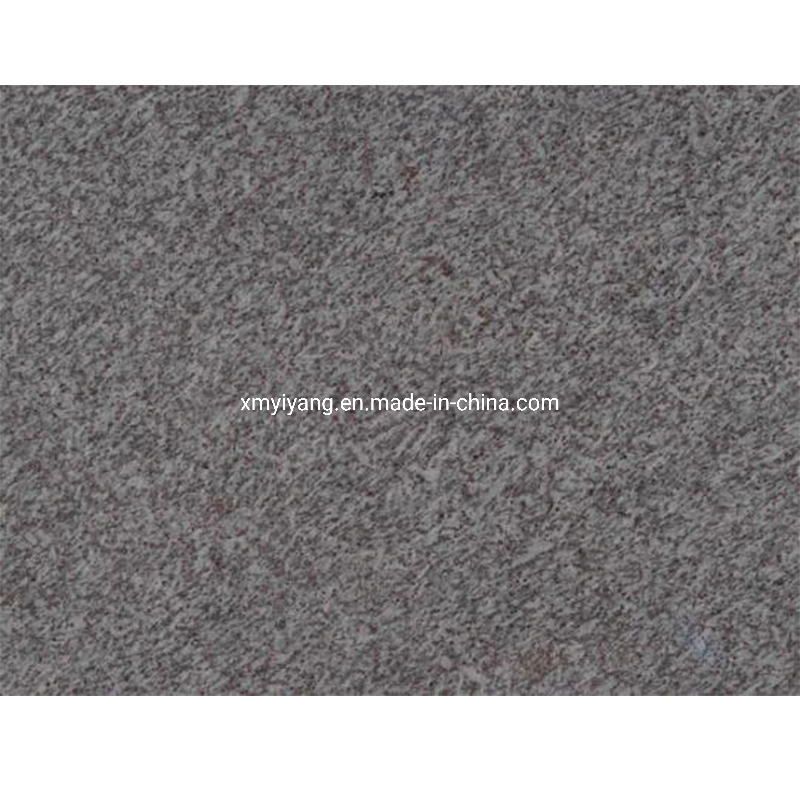 Jasmine White Granite Slab/Tile/Countertop Polish/Honed/Flamed Surface Kitchen Worktop Wholesale Price