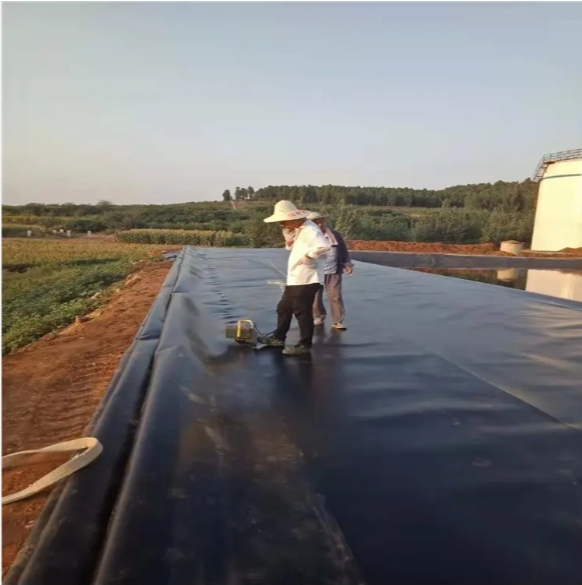 Black 1.0mm HDPE Liners Sheet for Artificial Lake Project Geomembrane Price