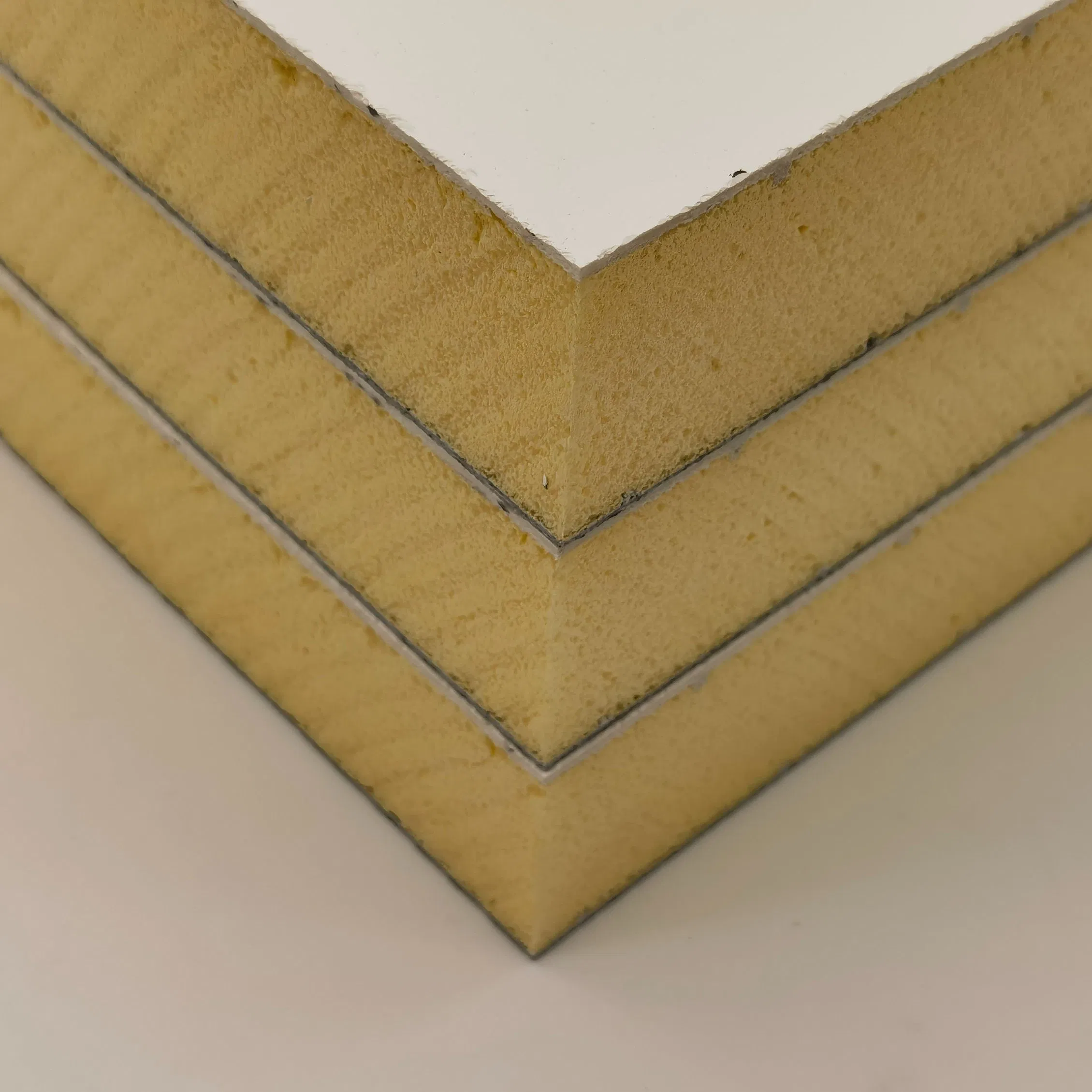 Thermal Insulation Foam Board FRP XPS Foam Core Panel for Cold Storage