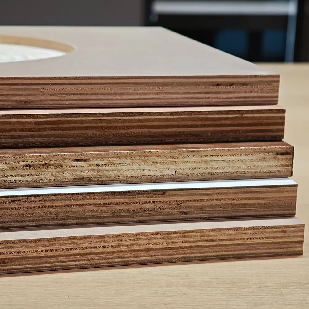 Sustainability 100% Eucalyptus Living Room Custom Cutting Hardwood Plywood