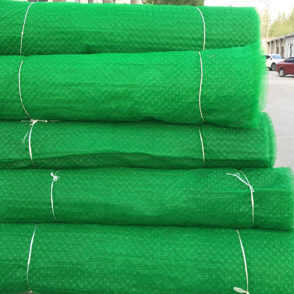 HDPE Vegetation Net Soil-Retaining for Slope Greening & Ecological Restoration ISO 9001 Certified