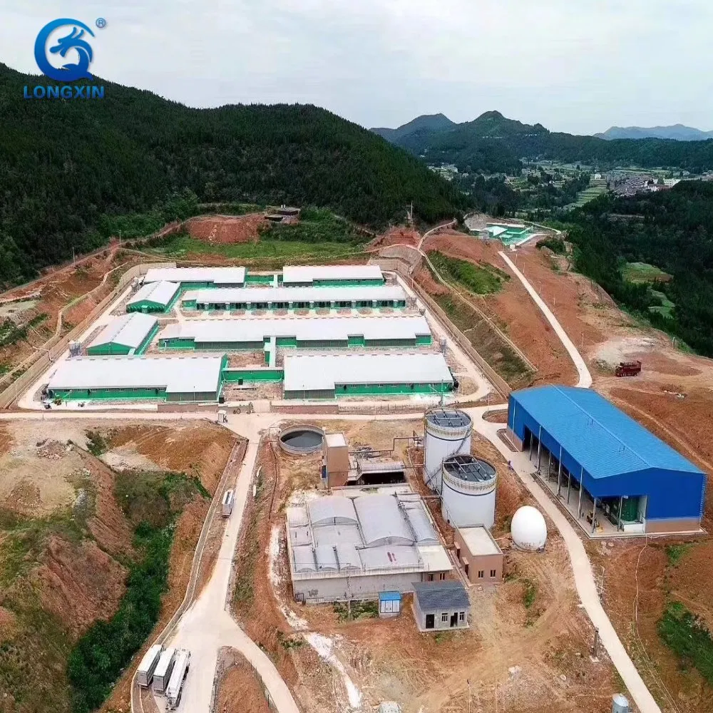 Prefabricated Steel Structure Pig House Farm Pig Farrowing Crate Piggery Shed Pig Farm