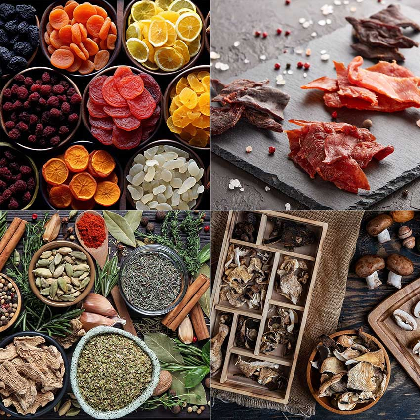 Stainless Steel Fruit Vegetable Meat Dryer Food Dehydrator Dghb24