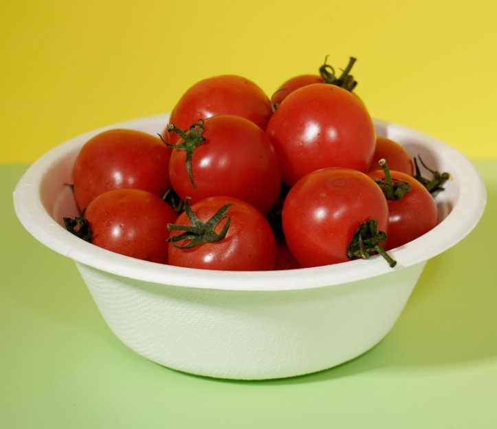 Disposable Eco-Friendly Shallow Dish for Restaurant Sugarcane Fiber Bowl