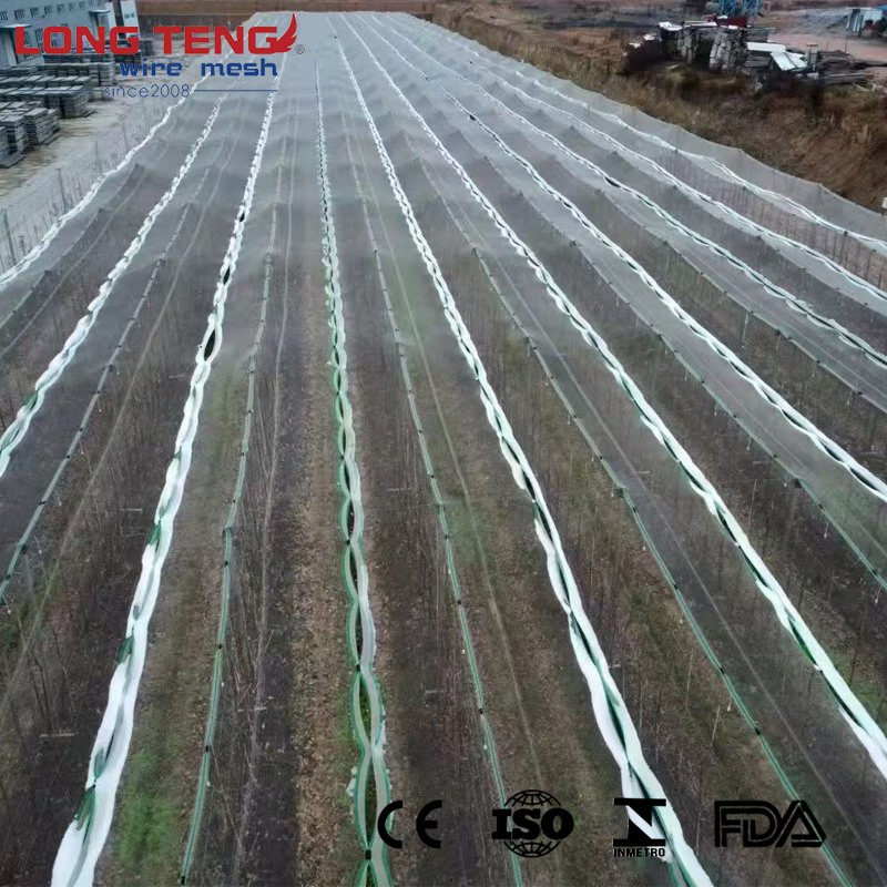Anti Hail Netting Suppliers 100 Virgin HDPE Orchard Apple Tree Anti Hail Net