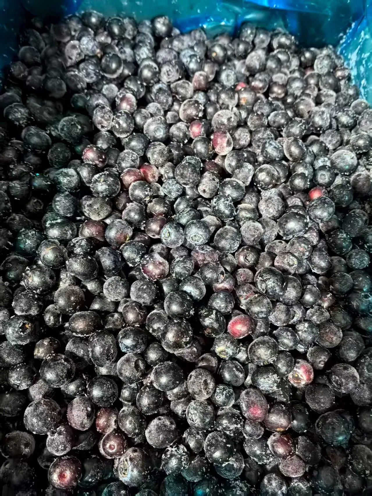 Wholesale Frozen Fruit IQF Fruit IQF Blueberry