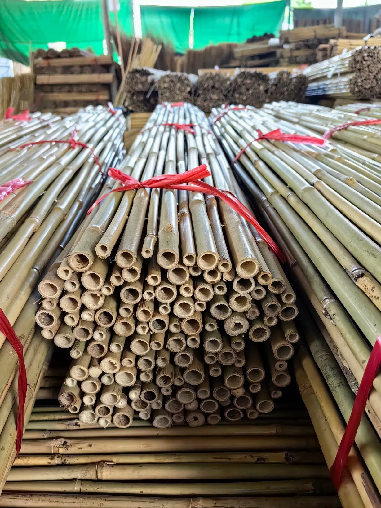 Bamboo Fences for Backyard and Garden