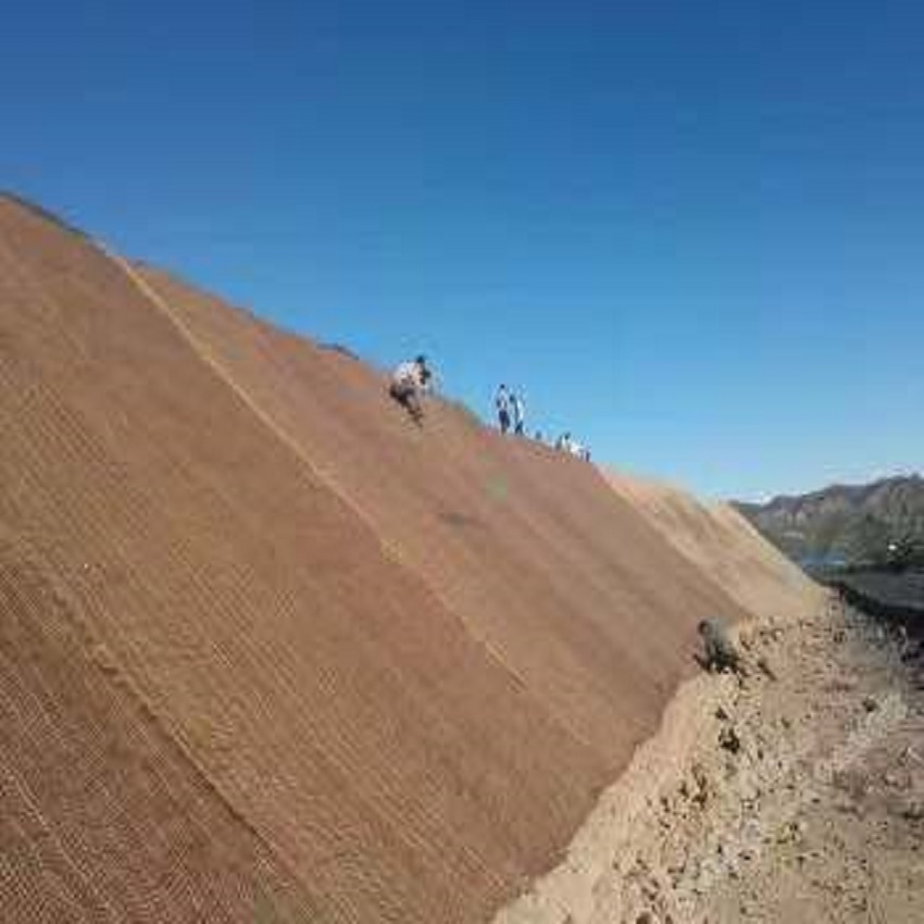 Three Dimension Coco Coir Grow Mat for Sustainable Landscaping Solutions