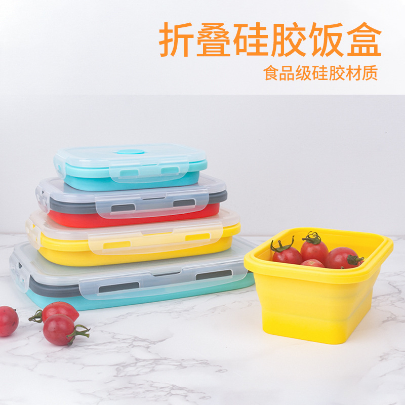 Compact and Lightweight Lunch Box for on-The-Go Meals