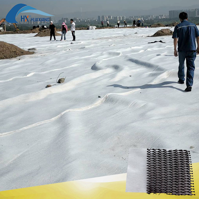 Factory Price Needled Nonwoven Core Reinforced Composite Drainage Geonet