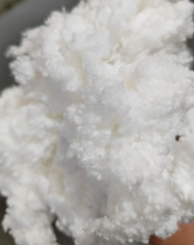 Good Quality Linters/Cotton for Nitrocellulose