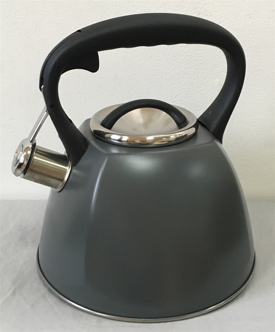 Stainless Steel Kitchenware 3.0 Liter Stainless Steel Teapot in Color Painting Kitchen Appliance