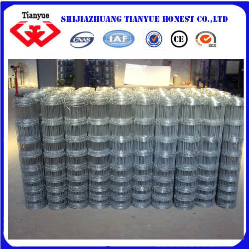 Hot Dipped Galvanized Grassland Fences (TYB-603)