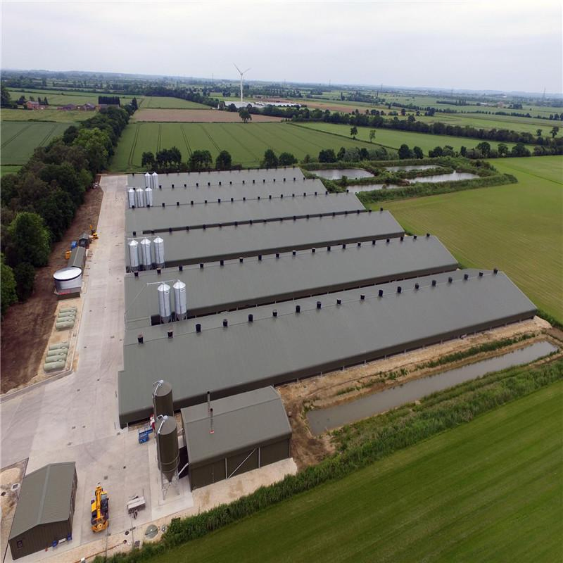 Customized Prefabricated Steel Structure Poultry Farm House Chicken House