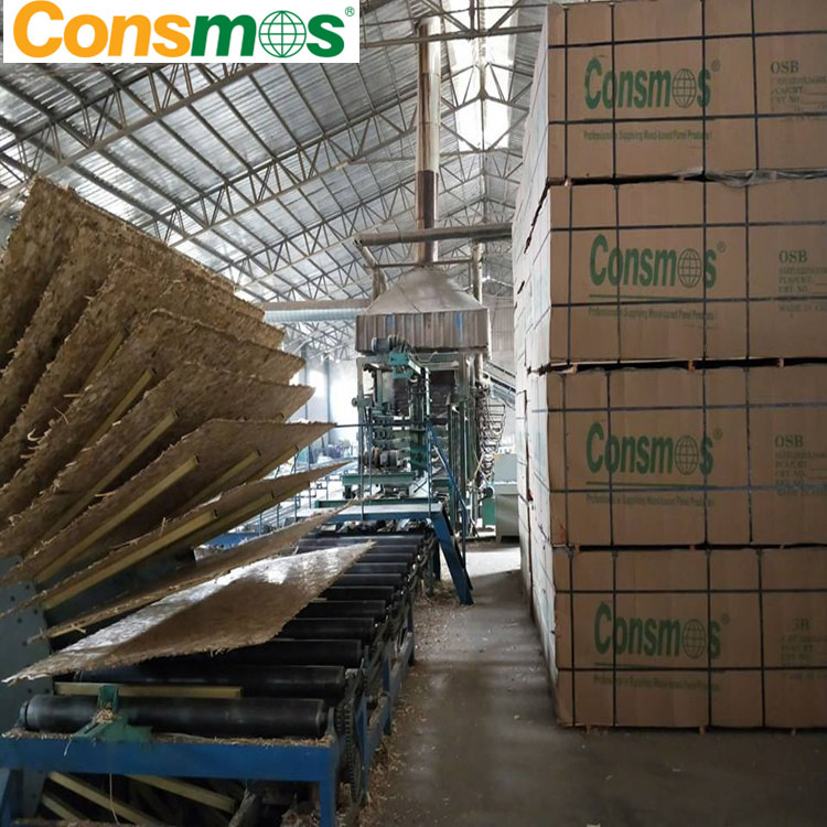 Cheap Price Wood Panels Oriented Strand Board OSB3/OSB4 Plywood Panel for Construction Use