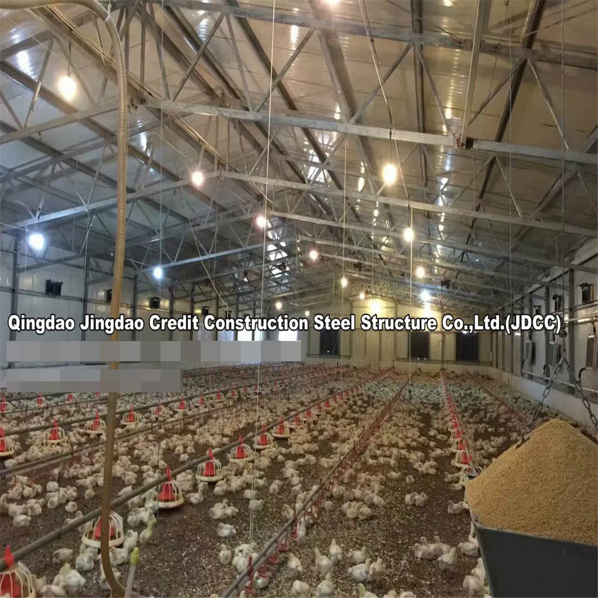 Quality Assurance Prefabricated Prefab Galvanized Light Truss Door Style Steel Structure Design Chicken Cage Poultry Shed Farms