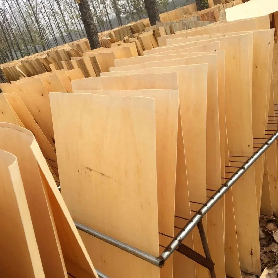 Birch Wood Veneer Birch Face for Indonesia Plywood