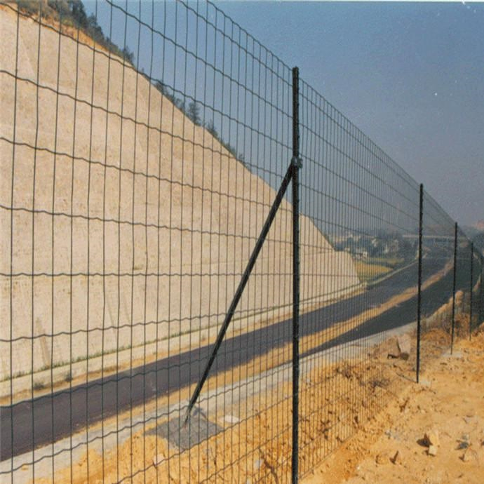 Cheap PVC Coated Holland Euro Wire Mesh Fence