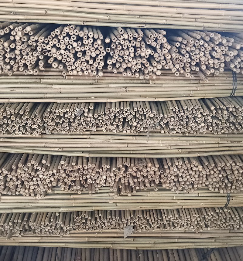 Bamboo Stake /Bambusstab Natural and Affordable Bamboo Poles From China