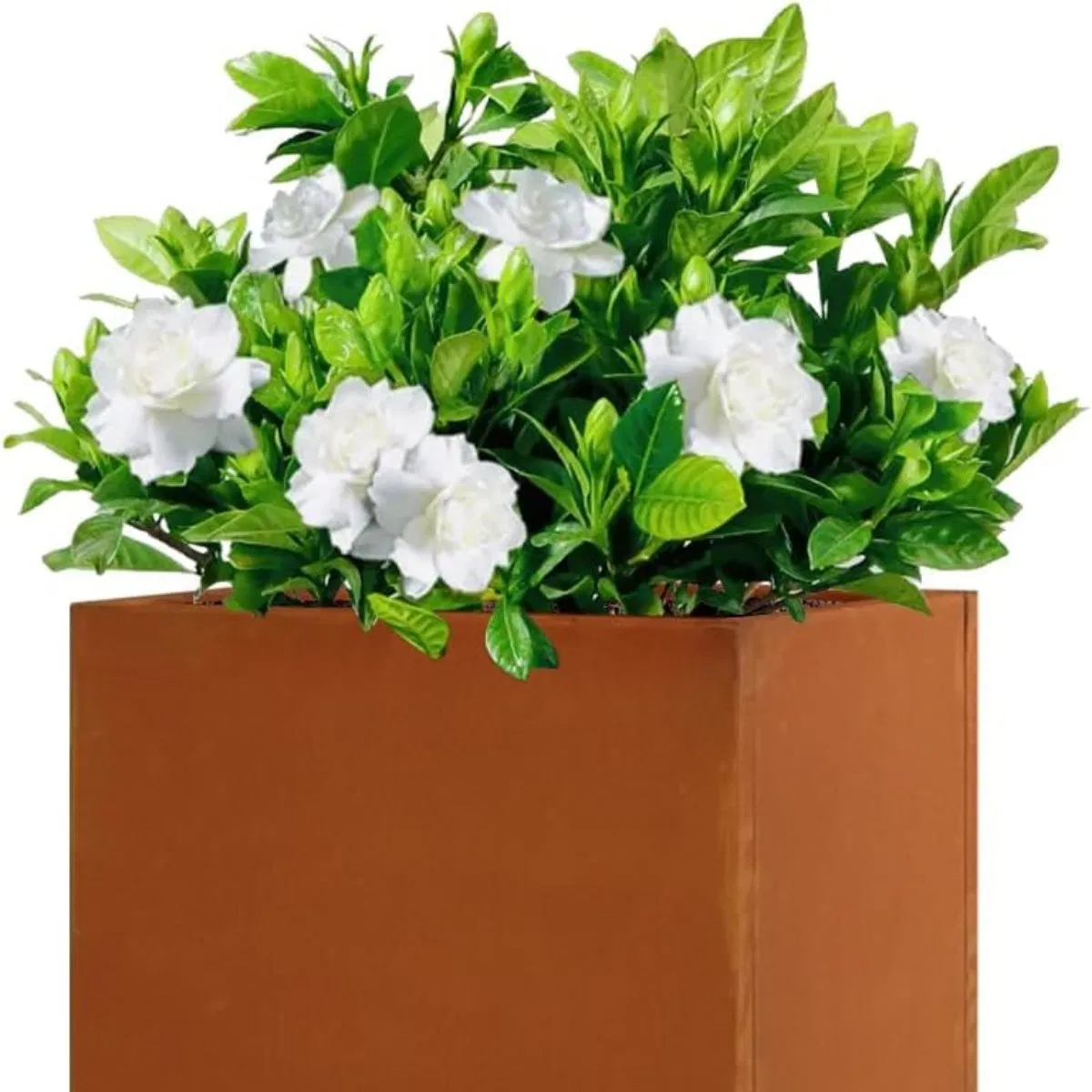 Corten Steel Metallic Heavy Planter for Outdoor Plants Metal Planter