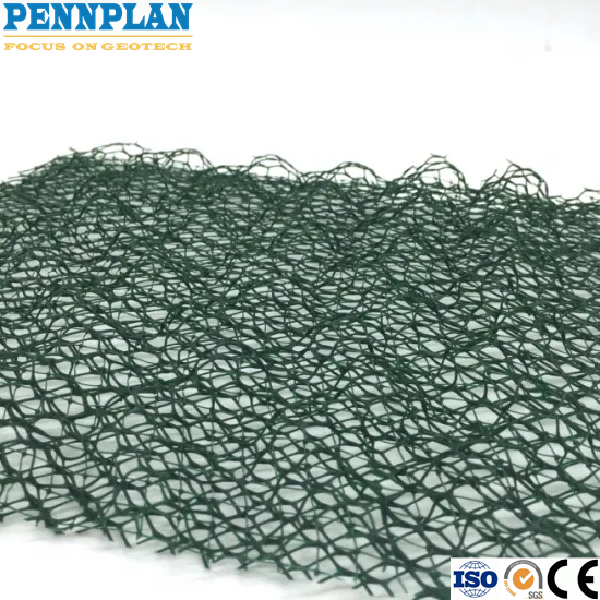 Greening Vegetation Network 3D Plastic Profiles Vegetation Geomat for Effective Erosion Control Moulding