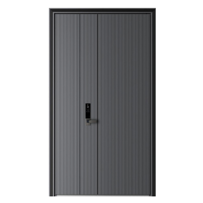 Современная входная дверь из алюминия, противопожарная