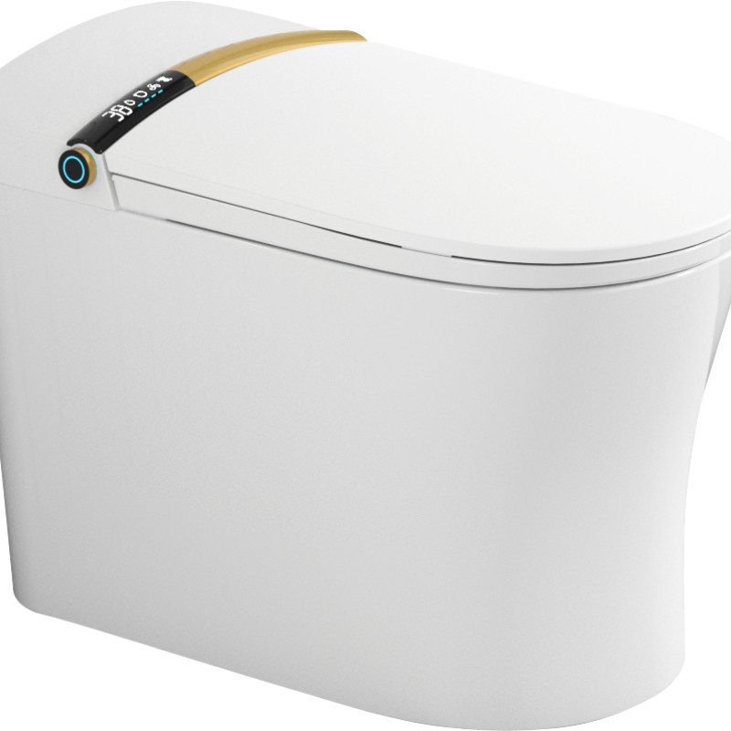 Minimalist Series Hot Selling Fashionable Ceramic Toilet Toilet