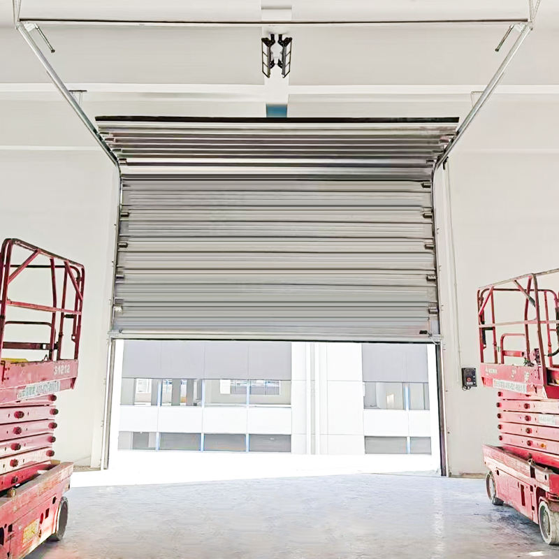 Cold Storage High-Performance Rolling Services Energy-Conscious Cold Chain Polyurethane Door Insulated Sectional Doors