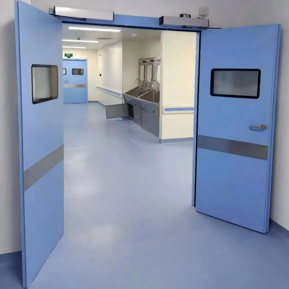 Exterior & Interior Single or Double Modular Stainless Steel Cleaning Security Clean Room Steel Entry Door in Pharmaceutical Industry