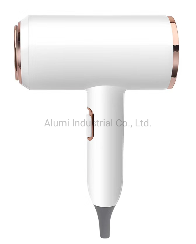 Professional Hair Dryer 1800W for Hotel Travel Hair Dryer