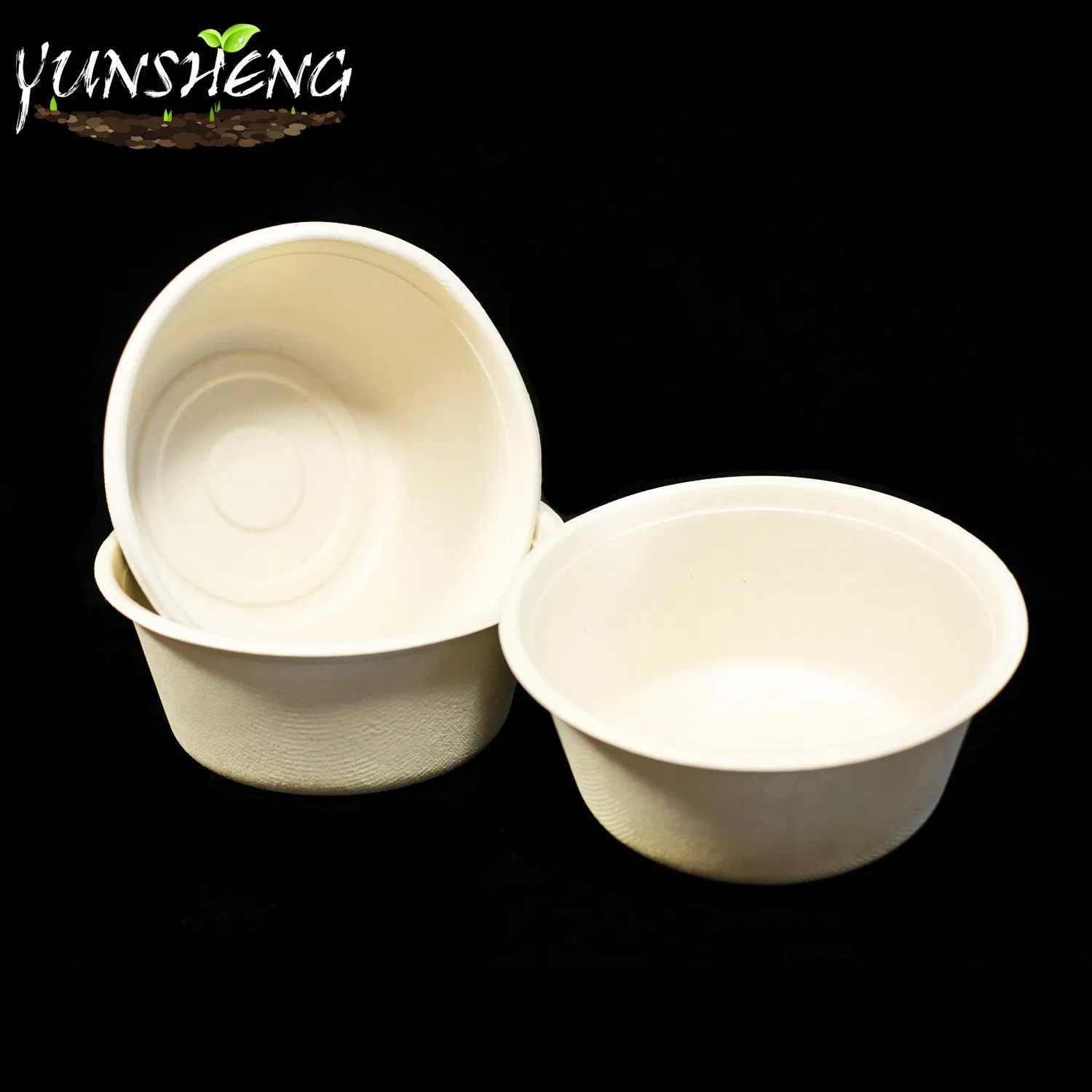 Environmentally Friendly Containers Biodegradable Fast Food Packaging