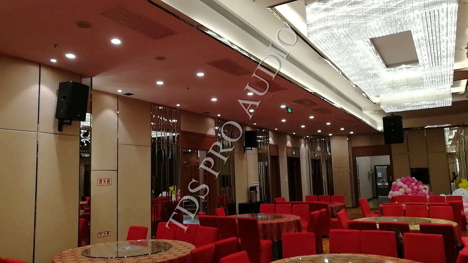 Акустическая система TDS MP15, 15 дюймов