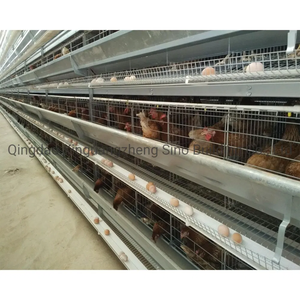 Prefabricated Building Galvanized Steel Structure Farming Shed Chicken Poultry House