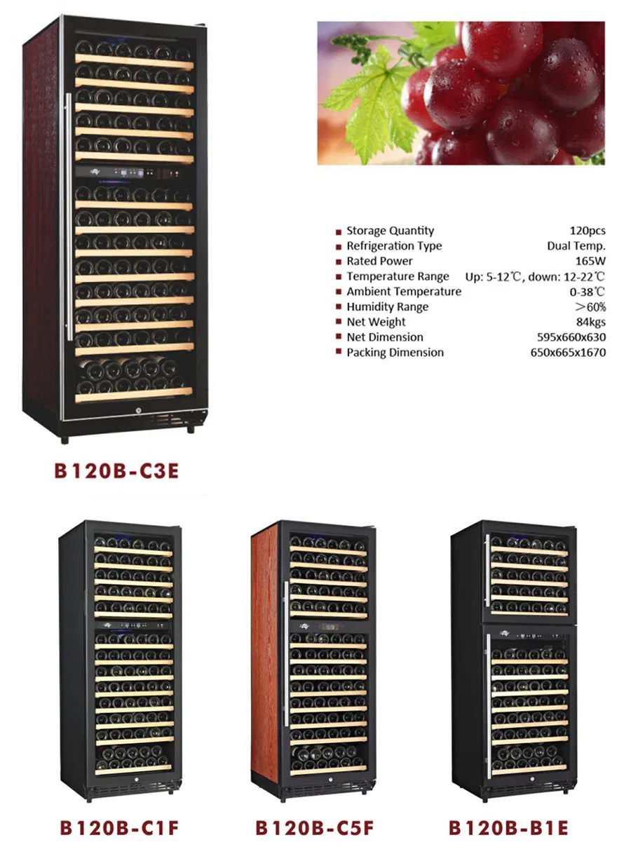 Wine Cooler with Famous Compressor Based on Australia Standard