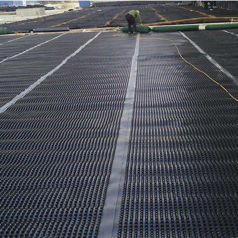 HDPE Plastic Drainage Boardsheet for Roof Garden Green