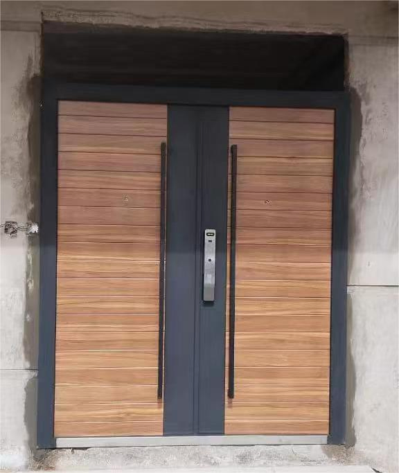 Double Front Entry Exterior Doors with Anti-Theft Steel Construction for Home Security-Contemporary Design