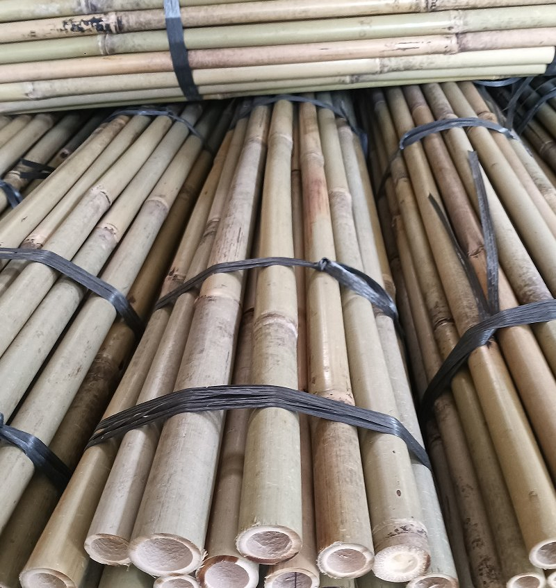Tonkin Bamboo Pole, Cane, Stick, Stake Is The Best Bamboo Cane